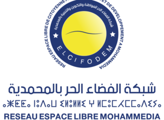 مهمة استشارية لمواكبة تنفيذ مخطط تعزيز قدرات شبكة ELCIFODEM