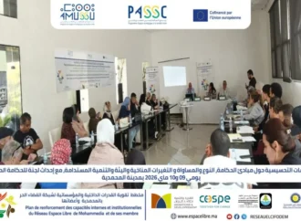 ورشة تحسيسية حول مبادئ الحكامة الجيدة، والمساواة بين الجنسين، والمناخ، والتنمية المستدامة بالمحمدية